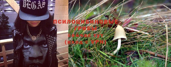 сатива Лихославль